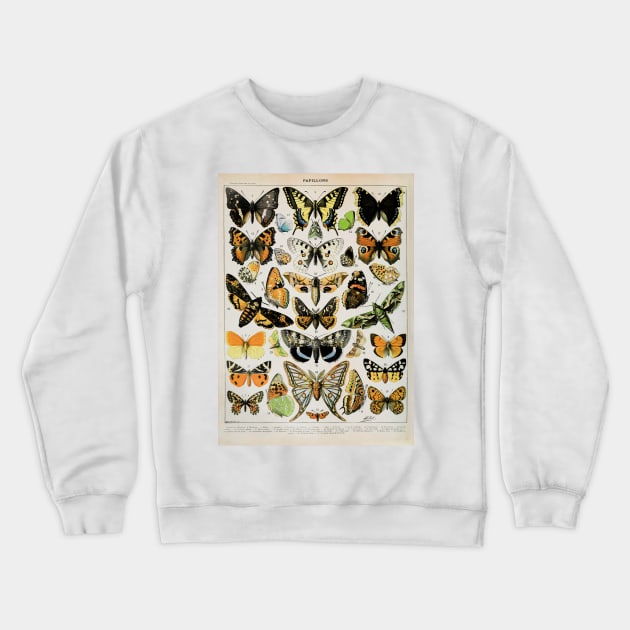 Papillon III Vintage French Butterfly & Moth Chart by Adolphe Millot Crewneck Sweatshirt by wildtribe